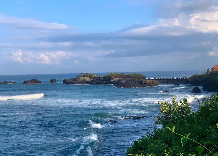 Padi Canggu