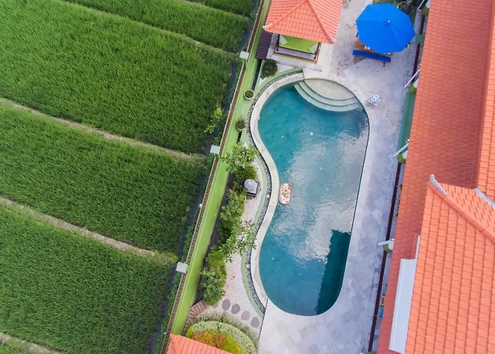 Padi Villa Canggu