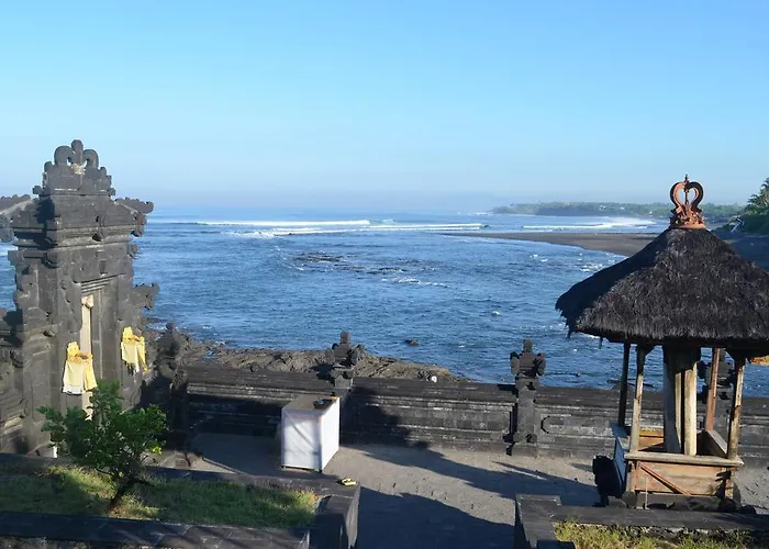 Padi Canggu