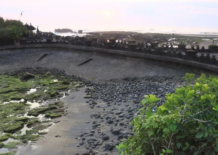 Padi * Canggu
